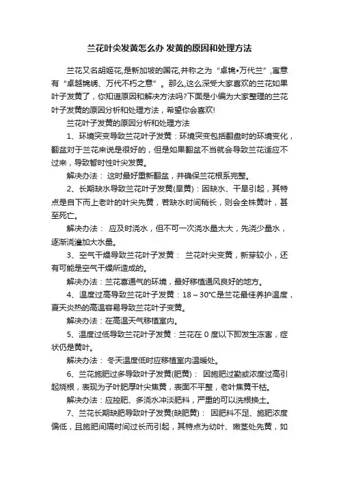 兰花叶尖发黄怎么办发黄的原因和处理方法