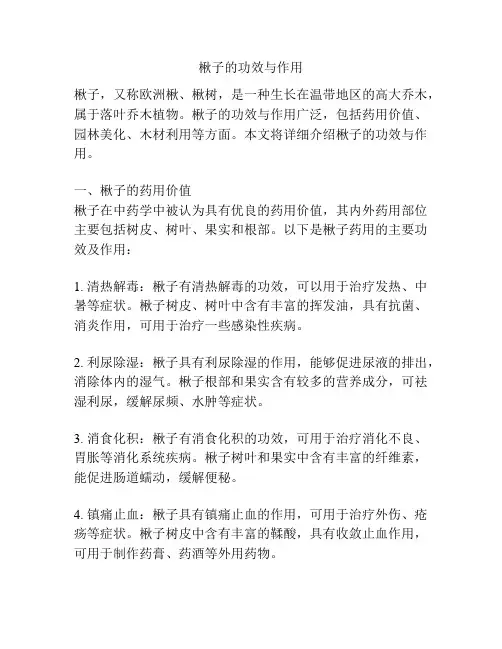 楸子的功效与作用