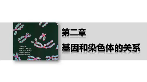 第二章 伴性遗传第一课时(红绿色盲)
