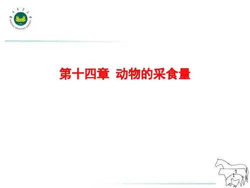 动物采食量PPT演示课件