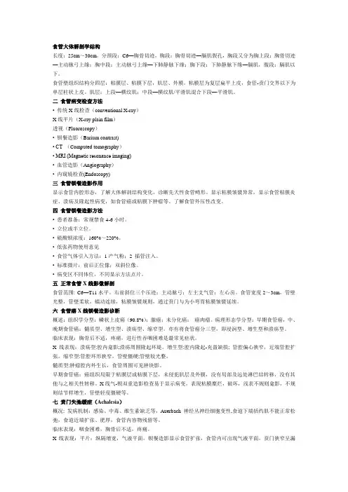 食管大体解剖学结构
