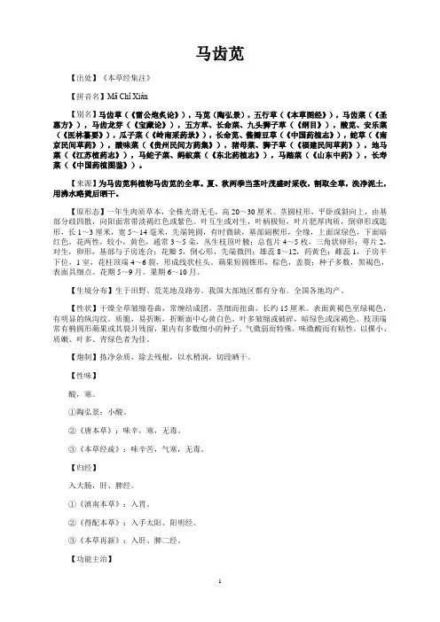 马齿笕