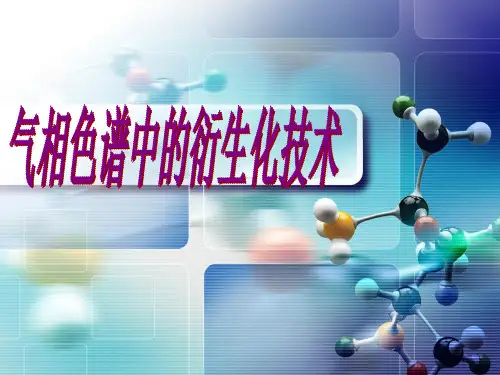 气相色谱中的衍生化技术PPT