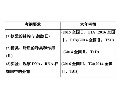 高考生物人教版一轮复习课件：第一部分 第一单元 第3讲 核酸 细胞中的糖类和脂质