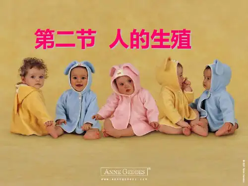 生物人教版七年级下册第一章人的由来第二节人的生殖