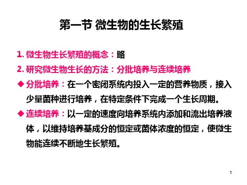 微生物的生长发育