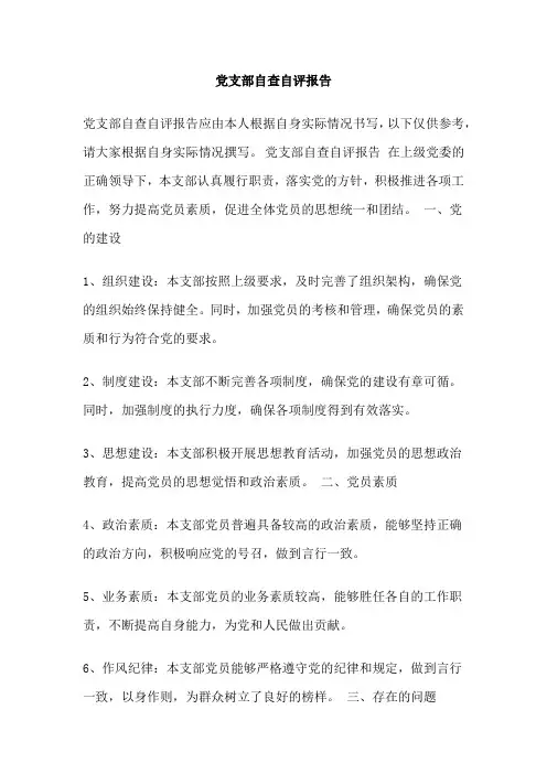 党支部自查自评报告