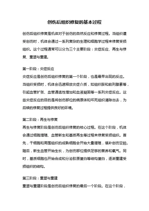 创伤后组织修复的基本过程