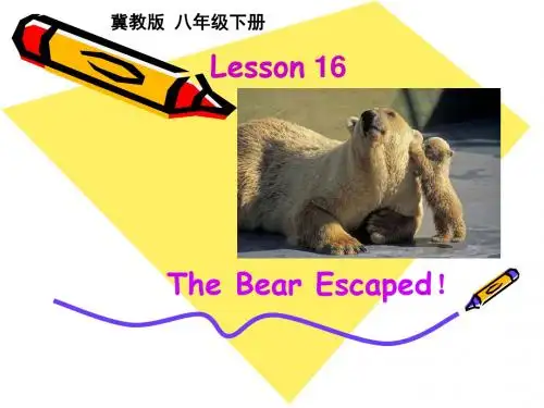 冀教版八年级下册英语名师示范课Lesson16：The Bear Escapead! (共18张PPT)