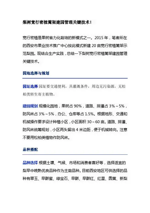 梨树宽行密植篱架建园管理关键技术