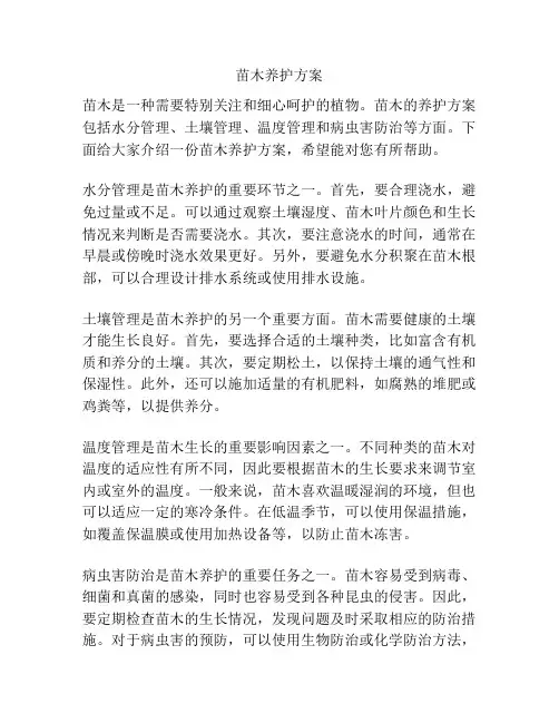 苗木养护方案