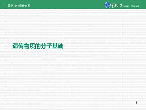 遗传物质的分子基础PPT课件