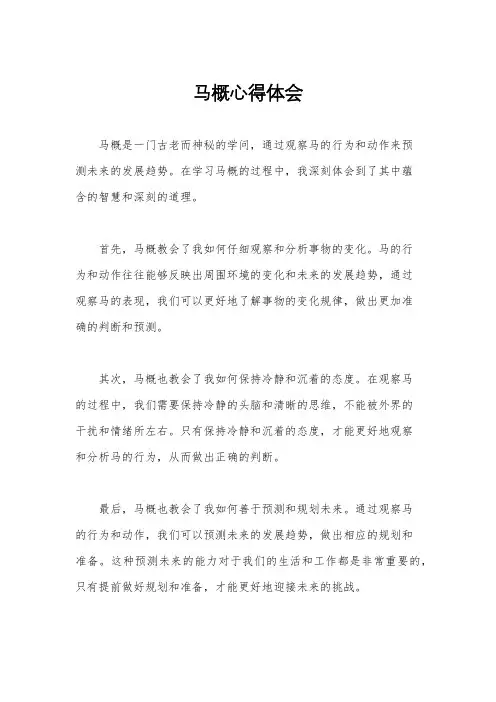 马概心得体会