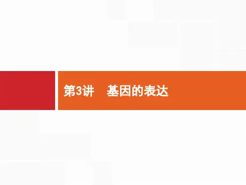 【人教版】高三生物一轮复习：7.3《基因的表达》ppt课件