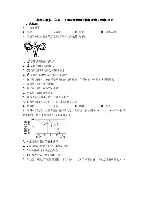 生物人教版七年级下册期末生物期末模拟试卷及答案-全册 3