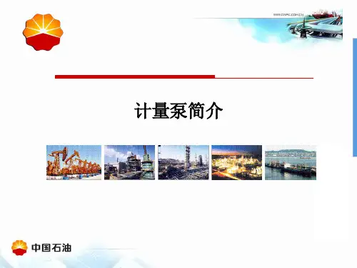 计量泵基本知识