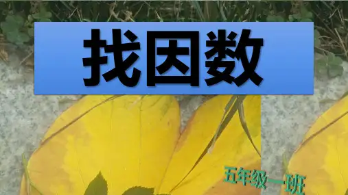 北师版小学五年级数学上册  找因数 课件