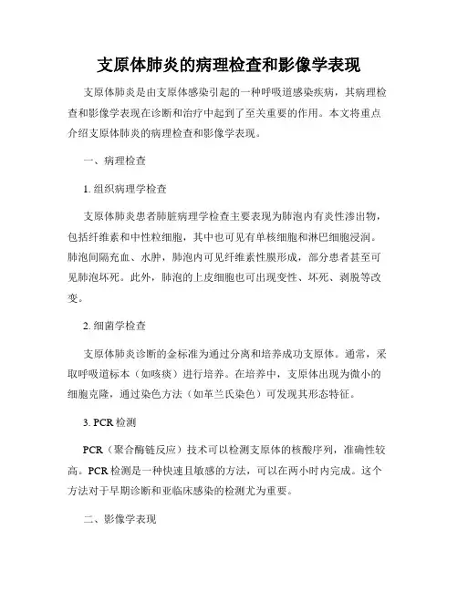 支原体肺炎的病理检查和影像学表现