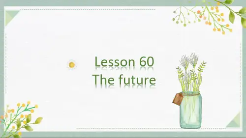 新概念英语第二册第66课课件