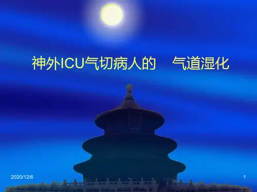 《气道湿化方法》PPT课件