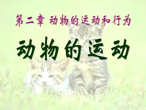 初中八年级上册生物 《动物的运动》动物的运动和行为优质课件PPT