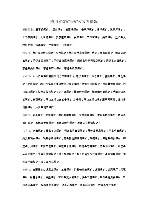 四川省煤矿采矿权设置情况