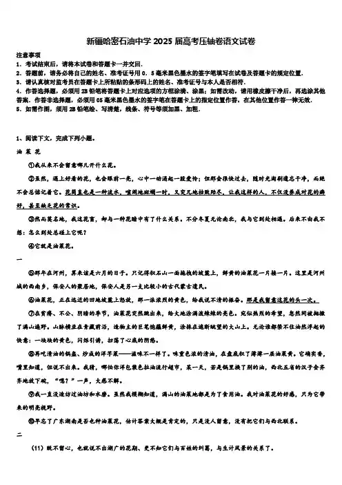 新疆哈密石油中学2025届高考压轴卷语文试卷含解析