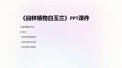 《园林植物白玉兰》课件