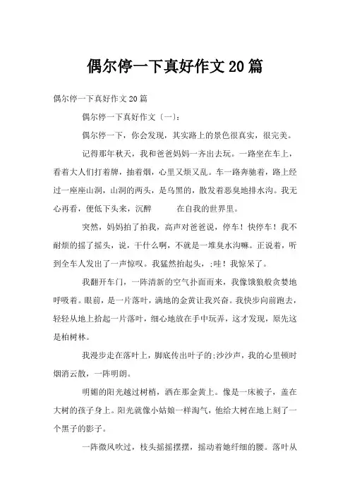 偶尔停一下真好作文20篇