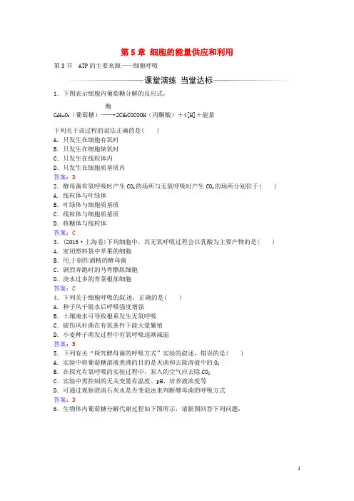 高中生物 第5章 第3节 ATP的主要来源 细胞呼吸练习 新人教版必修1