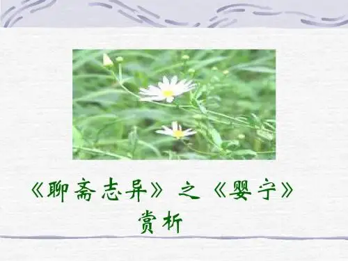 婴宁