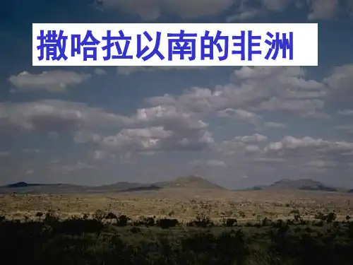 地理高考第一轮复习撒哈拉以南非洲