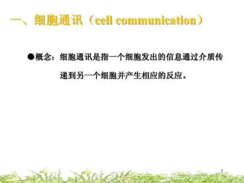 细胞生物学-信号传递