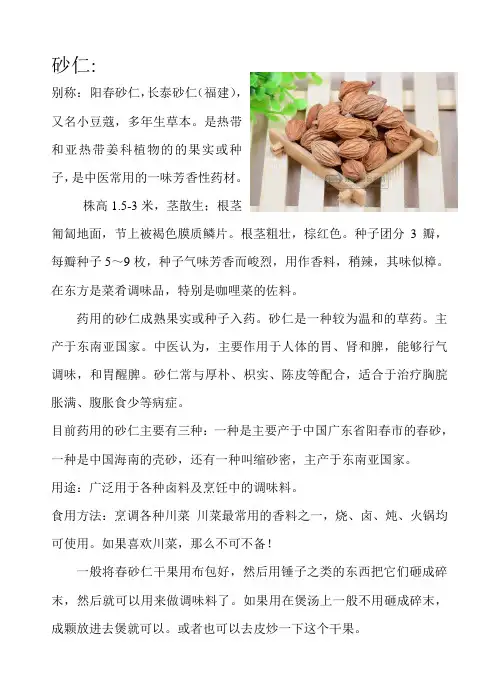 砂仁