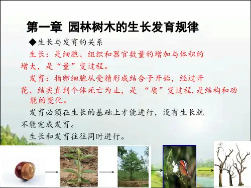 第一章 园林树木的生长发育规律