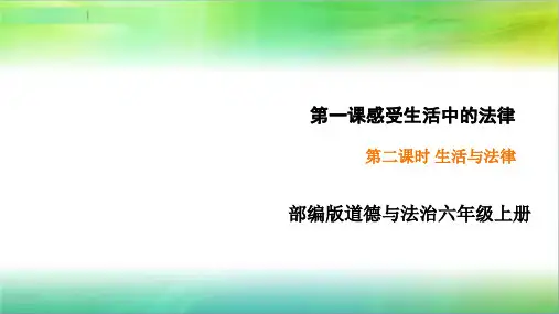 最新部编人教版六年级上册道德与法治1.2《生活与法律》