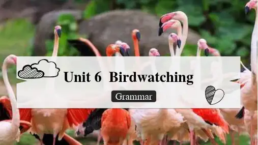 Unit6Grammar课件牛津译林版英语八年级上册