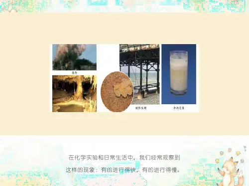 化学反应速率影响因素