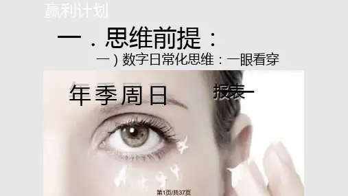 李践——赢利模式PPT课件