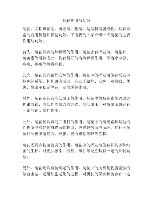 菊花作用与功效