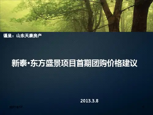 新泰东方盛景团购价格建议