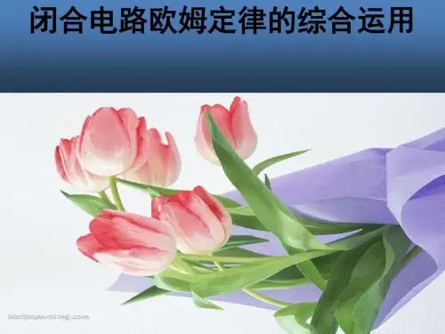《闭合电路的欧姆定律》课件9(15张PPT)(新人教版选修3-1)