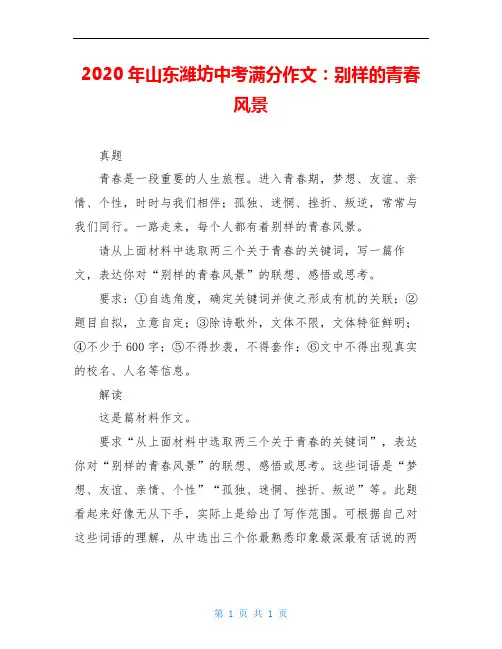 2020年山东潍坊中考满分作文：别样的青春风景