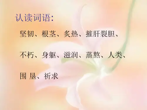 小学语文S版五上《西风胡杨》PPT课件