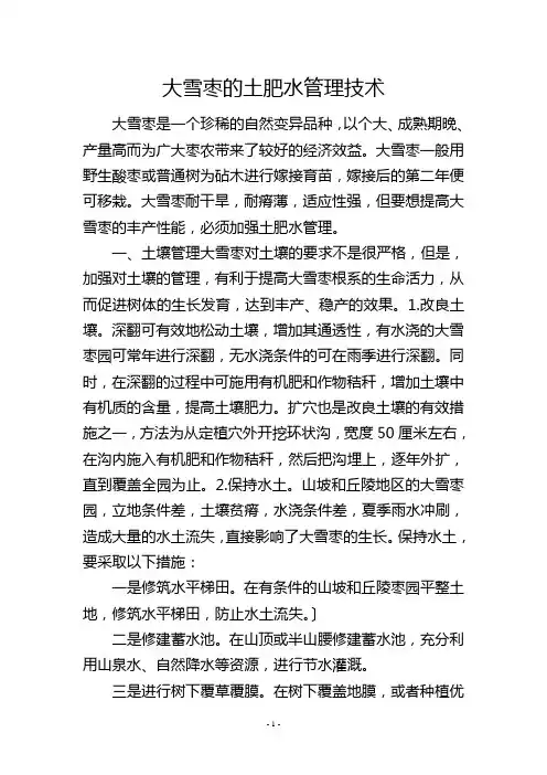 大雪枣的土肥水管理技术