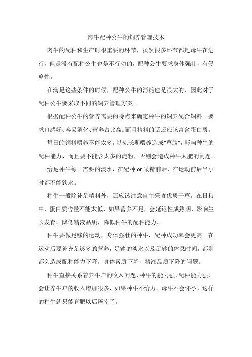 肉牛配种公牛的饲养管理技术----赵迎会