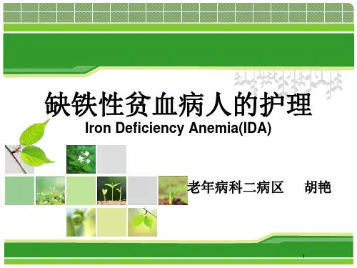 缺铁性贫血课件