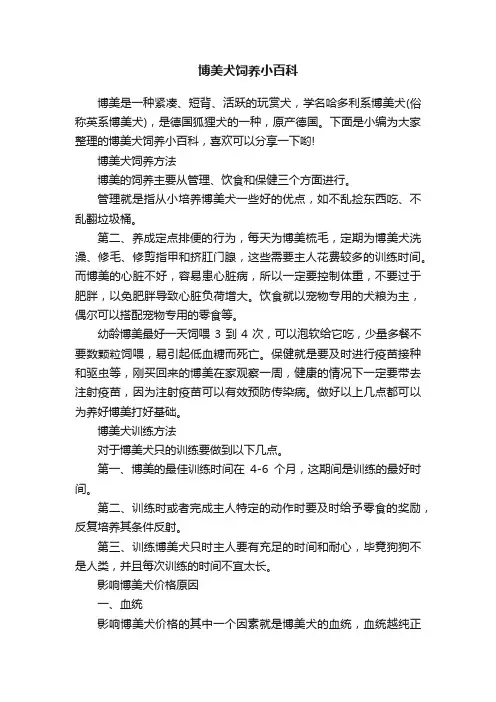 博美犬饲养小百科