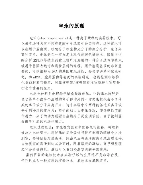 电泳的原理