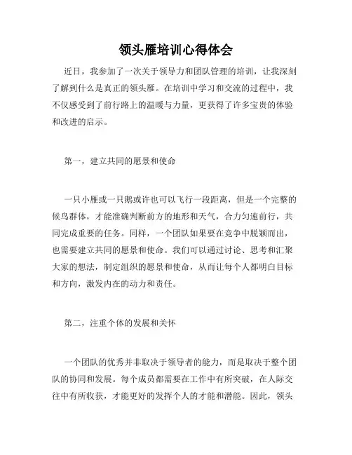 领头雁培训心得体会